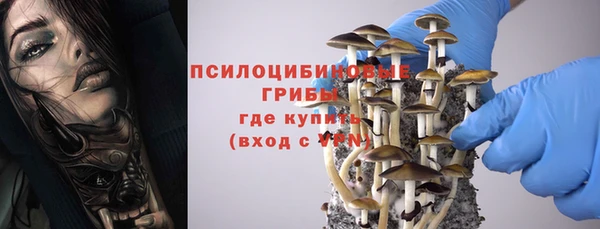 бошки Абаза