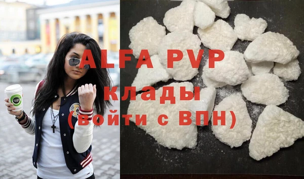 стаф Абинск