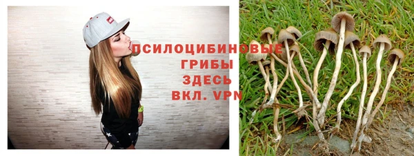 соль ск Абдулино