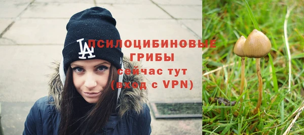 стаф Абинск